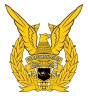 Indonesian Air Force